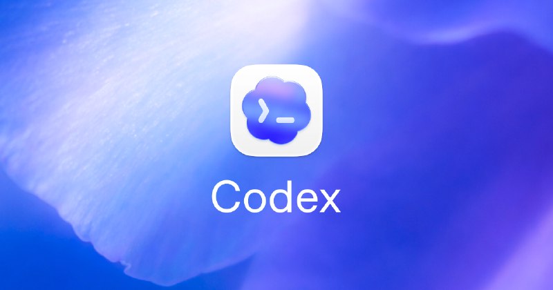 Codex
