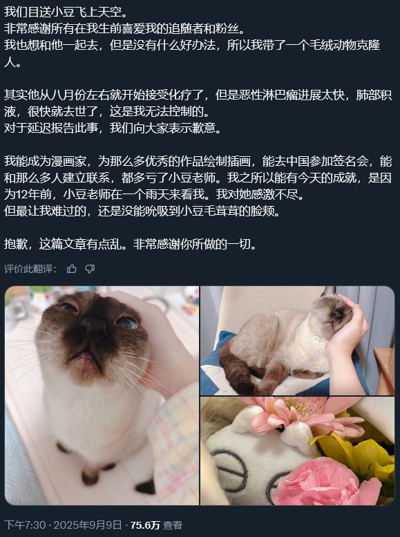 广受欢迎的表情包“小豆泥”原型猫咪过世，主人发文悼念超人气漫画《世界，就是绕着猫打转》中“小豆泥”表情包的现实原型——暹罗猫于近期因恶性淋巴瘤离世