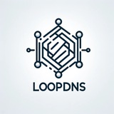LoopDNS资讯播报