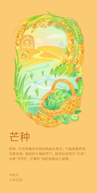 今日节气:芒种昌谷五月稻，细青满平水