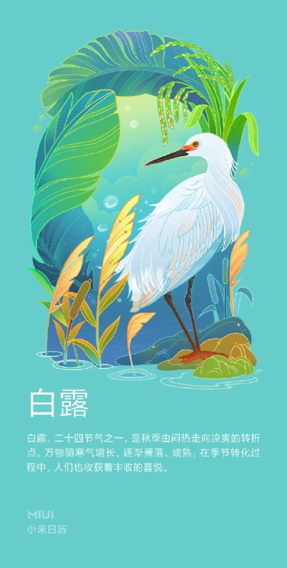 今日: 白露一岁露从今夜白，百年眼对老天青