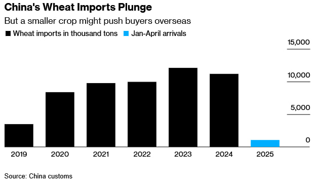 中国小麦产量或降至七年低点，干旱与虫害加剧粮食安全担忧中国小麦产量预计将同比下降5%，至1.33–1.35亿吨，为2018年以来最低水平