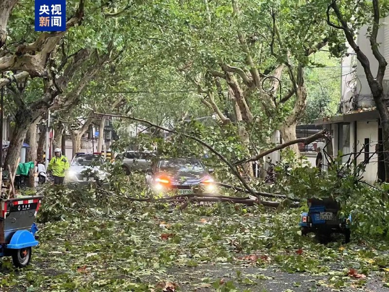 受台风“贝碧嘉”影响 上海树木倒伏或折断超万株从上海防汛指挥部获悉，截至16日12时30分，上海全市：房屋受损4间，受伤人员1人，树木倒伏或折断超万株，累计供电中断153处，农田受淹800余亩