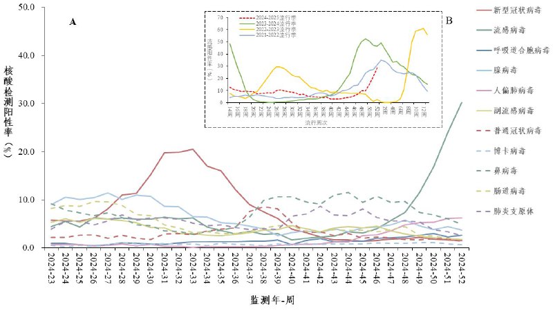 2024年第52周（12月23日—12月29日），哨点医院采集的门急诊流感样病例中，流感病毒阳性率30.2%，较上周增加6.2%