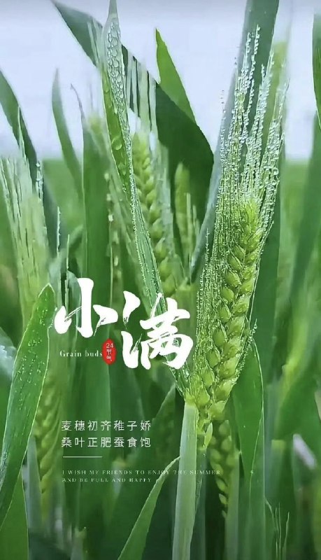 今日: 小满小满，是二十四节气之一，每年5月20至22日之间，太阳到达黄经60度时开始